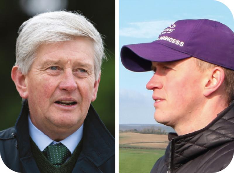 Beautiful Force's trainer